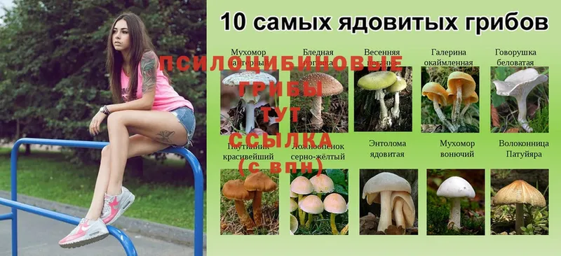 Псилоцибиновые грибы Magic Shrooms  Мариинск 